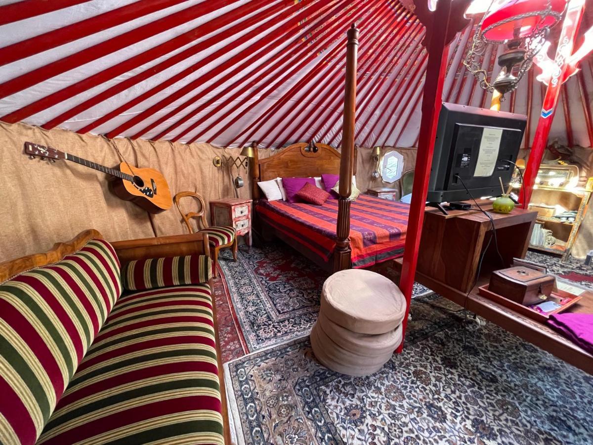Crazy Lounge Bnb Айгел Екстериор снимка